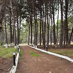 ヴィラ Pine House 2023