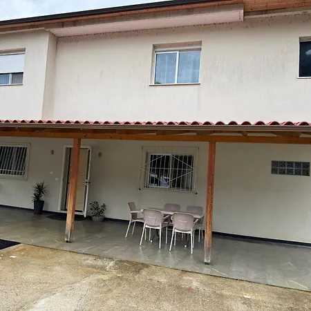 Pine House 2023 * فلورا