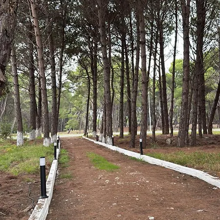 Villa Pine House 2023