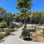 Pine House 2023 Vlorë