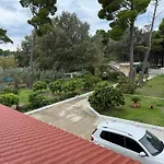 Pine House 2023 * Vlorë