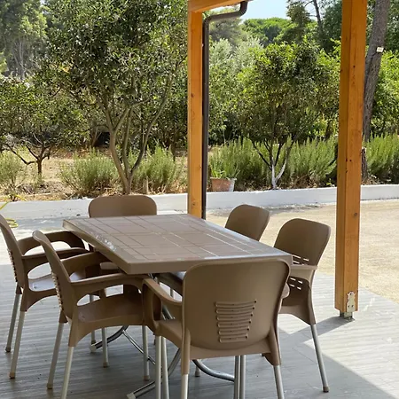 Pine House 2023 Vlorë