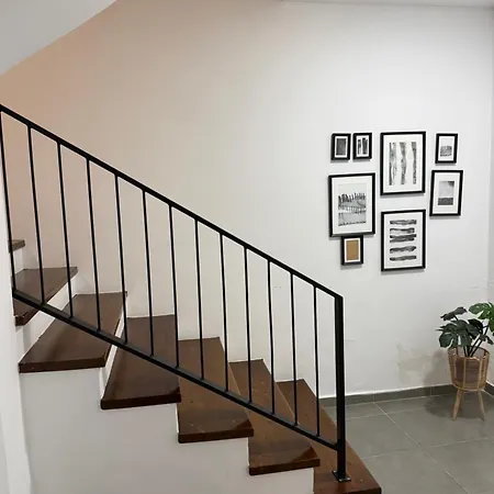 Pine House 2023 فلورا