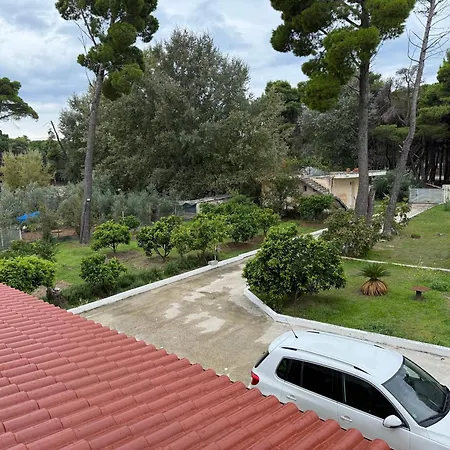 Pine House 2023 * Vlorë