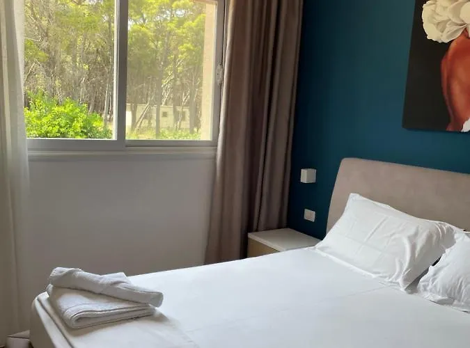 Pine House 2023 * Vlorë