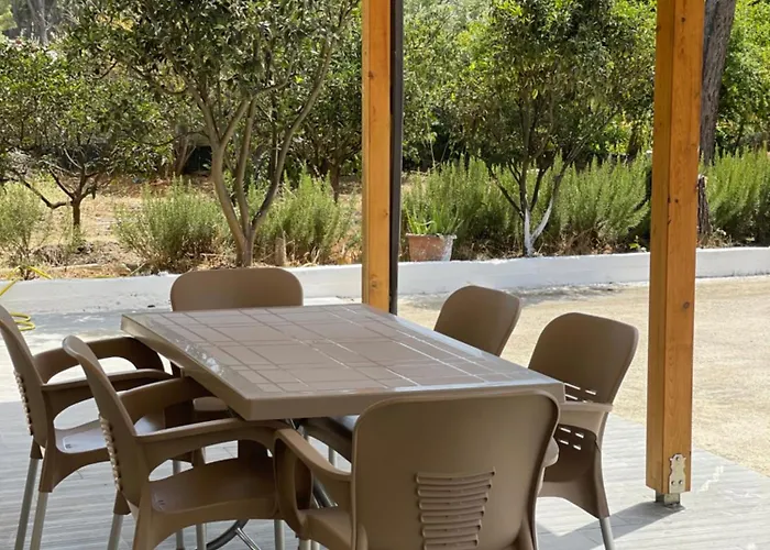 Pine House 2023 Vlorë