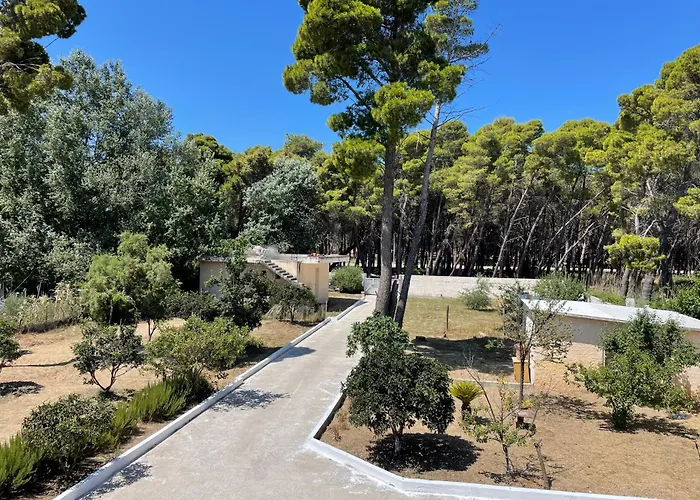 Pine House 2023 Vlorë