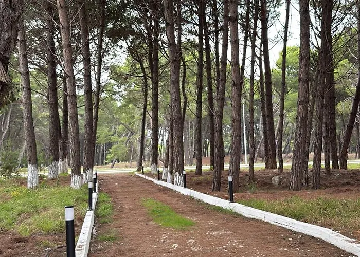 ヴィラ Pine House 2023