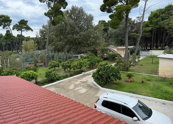 Pine House 2023 * Vlorë